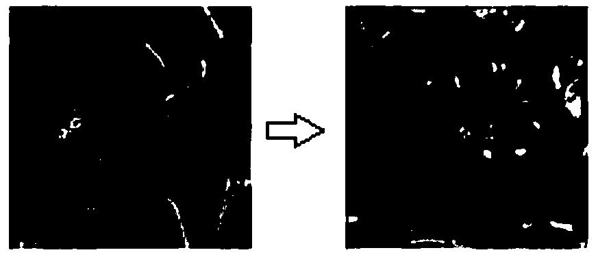 Harris-based digital watermarking method with angular point geometric attack resistance