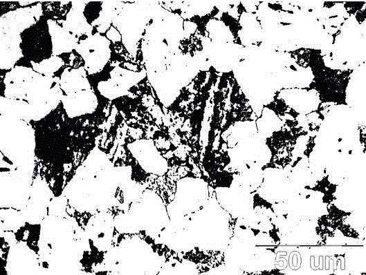 Grading Method of Pearlite Spheroidization Based on Contour Tracking