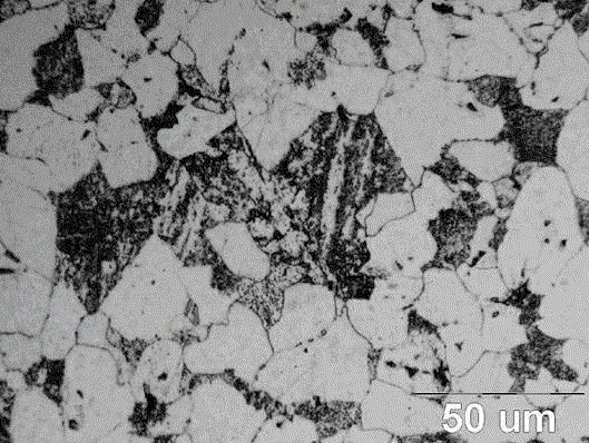 Grading Method of Pearlite Spheroidization Based on Contour Tracking