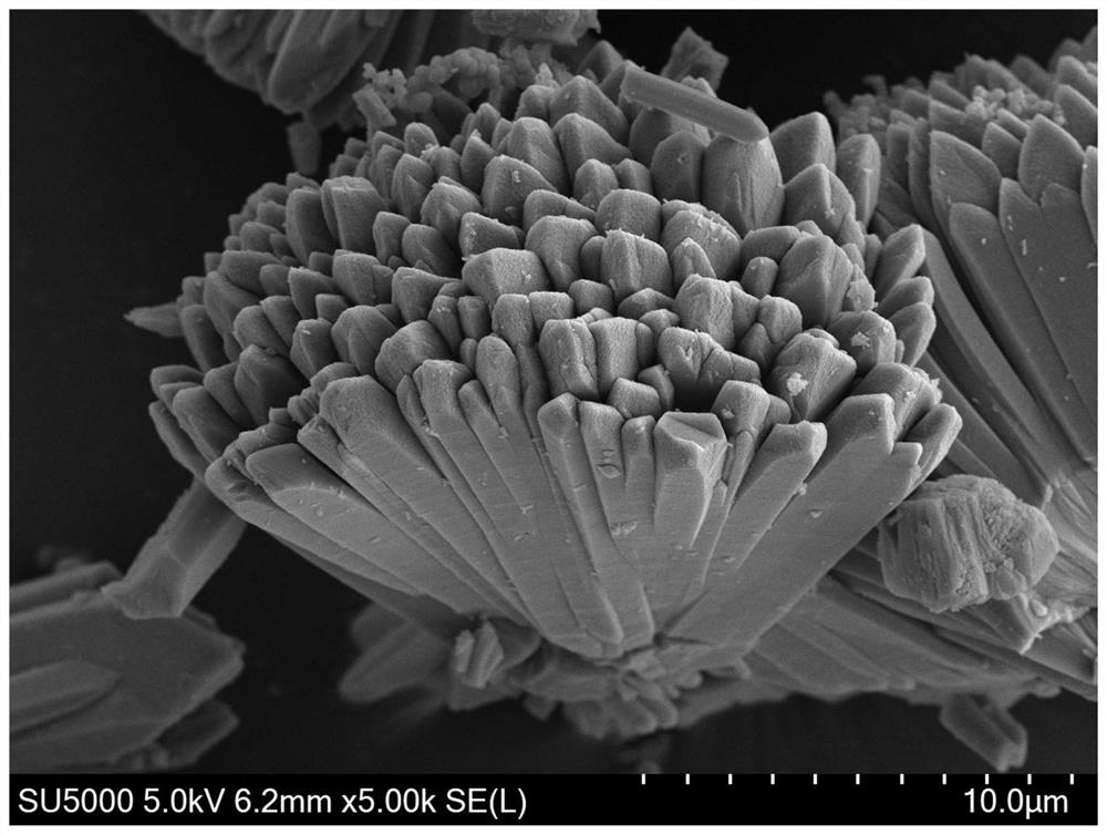 Preparation of Co-MOF-74 material with three-dimensional structure and VOCs application of Co-MOF-74 material