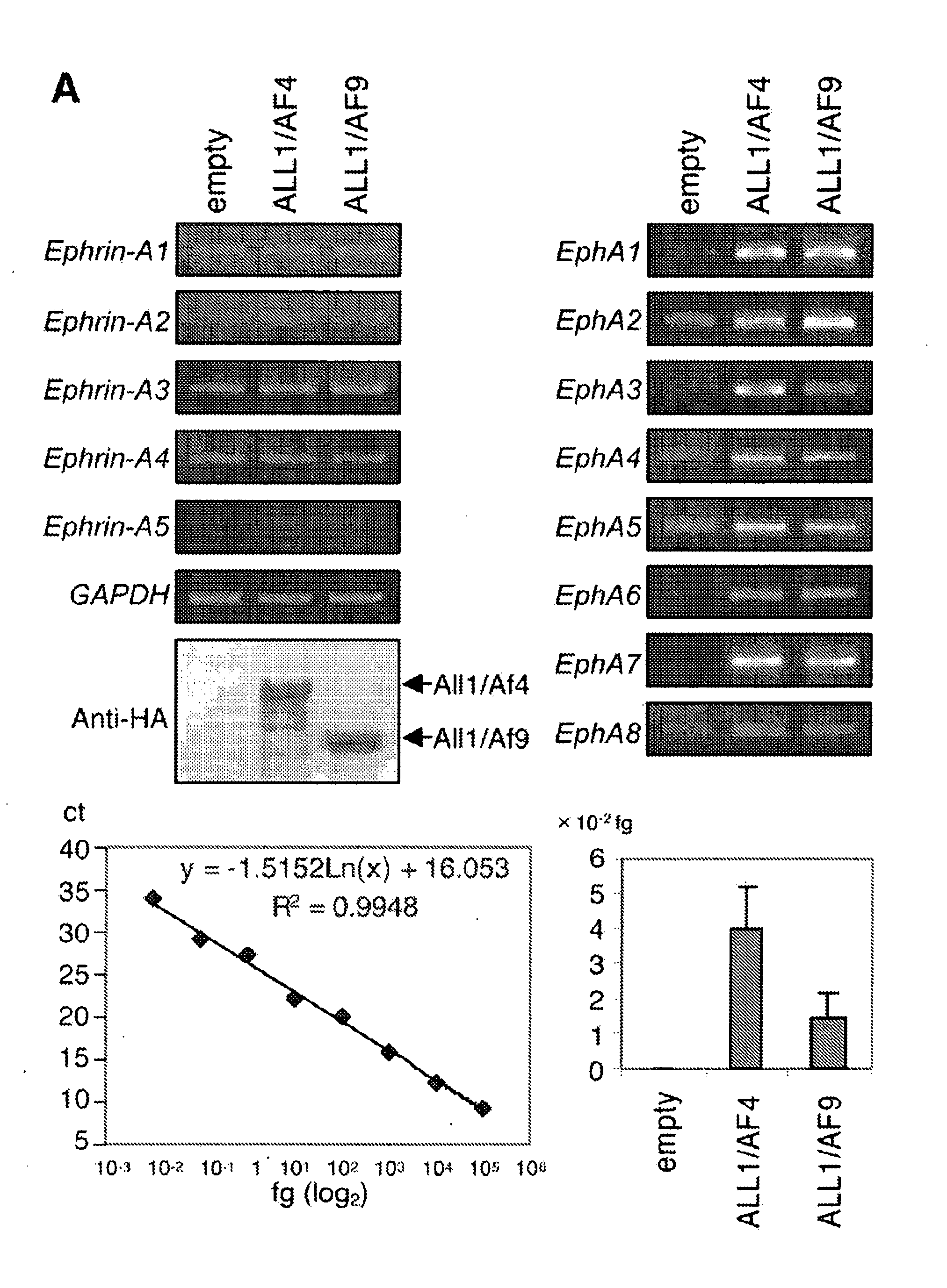 Methods and Compositions for Inducing Deregulation of EPHA7 and ERK Phosphorylation in Human Acute Leukemias