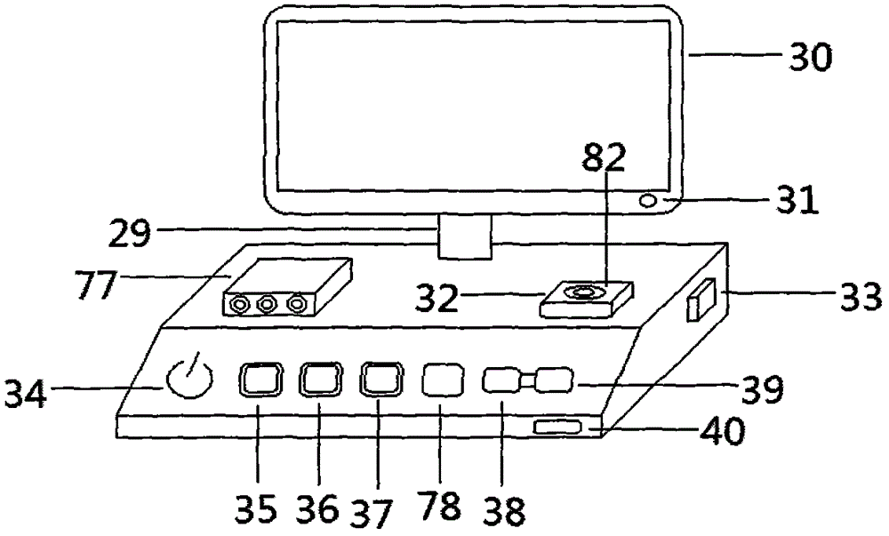 Ultrasonic intracranial tumor treatment apparatus