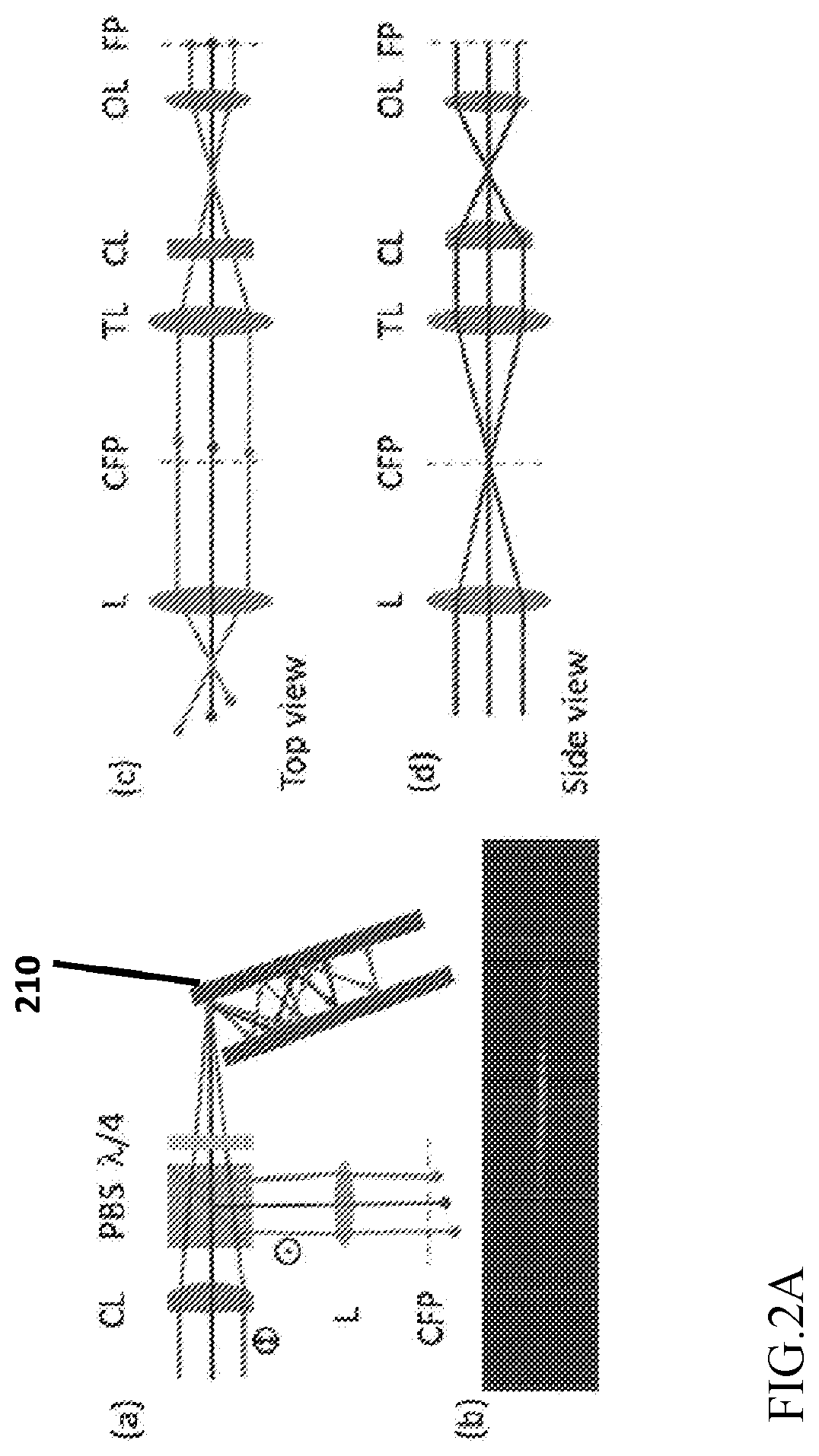 Apparatus and method for fast volumetric fluorescence microscopy using temporally multiplexed light sheets