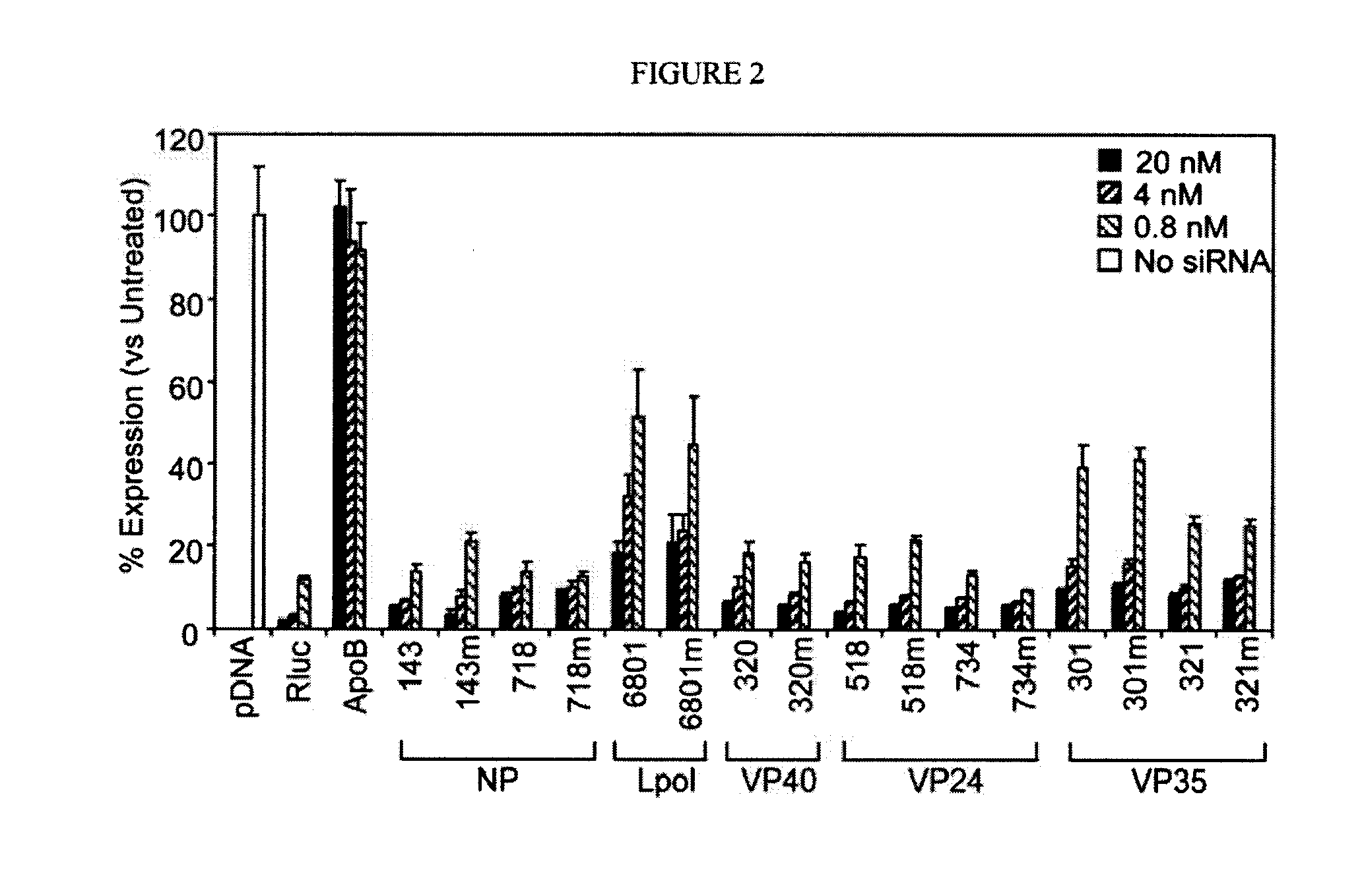 Compositions and methods for silencing marburg virus gene expression