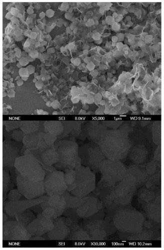 Ionic liquid functionalized graphene vibrio dna electrochemical sensor and its preparation method and application