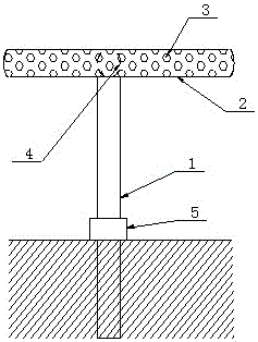 Agricultural water sprinkling device