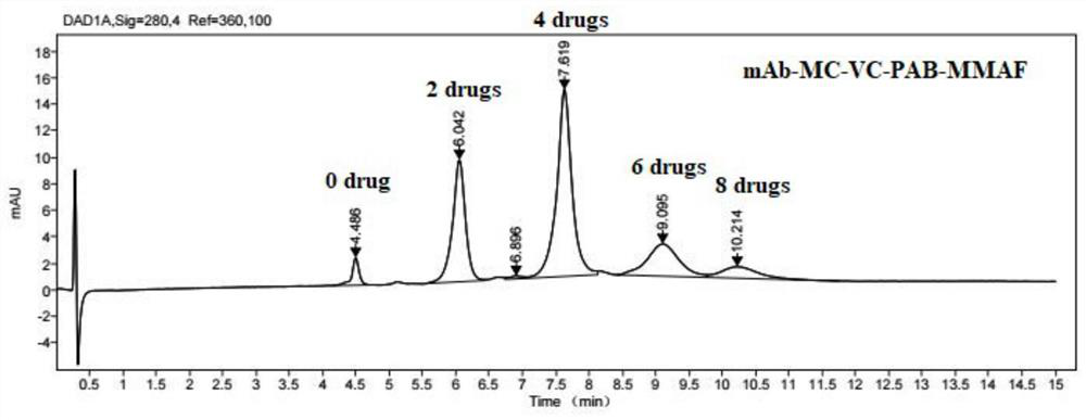 A kind of anti-ceacam5 humanized antibody, its conjugate and use thereof