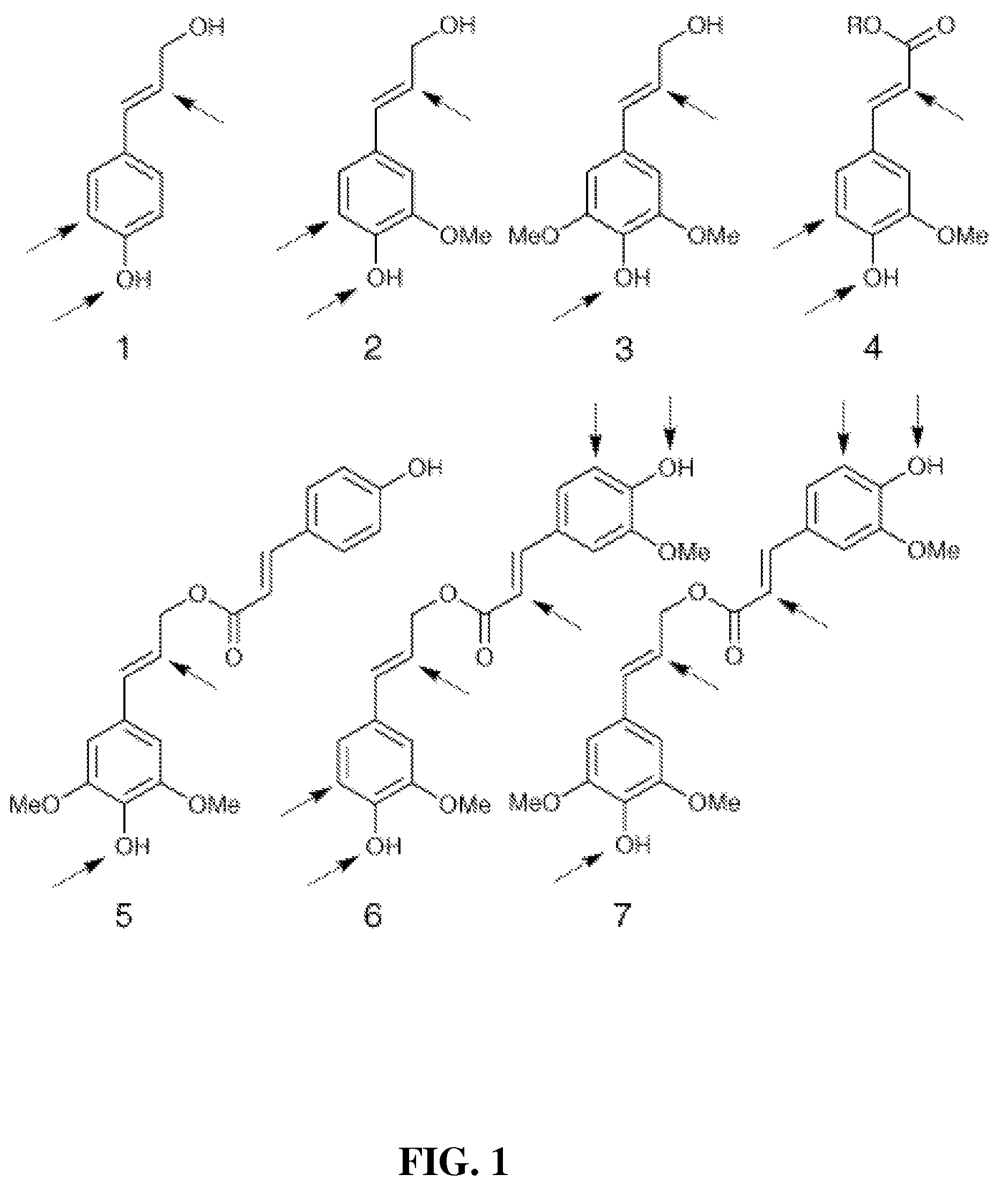Method for modifying lignin structure using monolignol ferulate conjugates