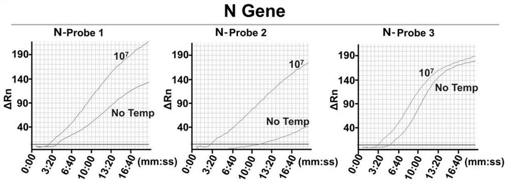 A kind of probe and primer set, test kit, detection method utilizing L/RPA rapid detection sars-cov-2