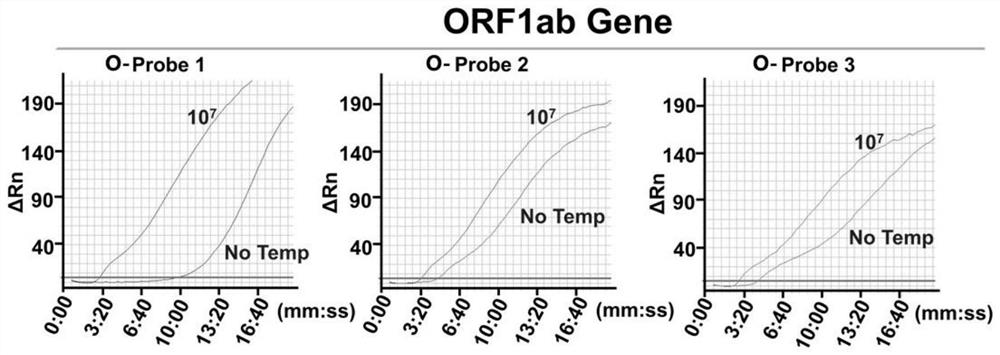 A kind of probe and primer set, test kit, detection method utilizing L/RPA rapid detection sars-cov-2