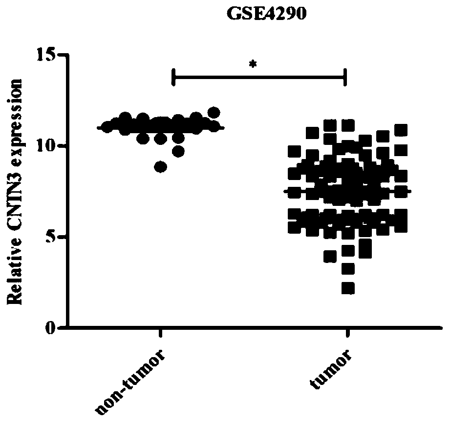 Application of CNTN3 protein in prognosis judgement of neuroglioma