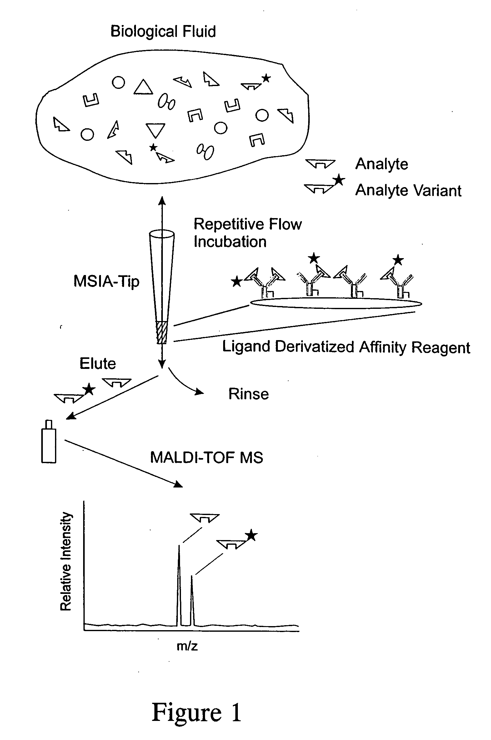 Mass spectrometric immunoassay analysis of specific proteins and variants present in various biological fluids