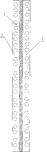 Coextrusion composite polypropylene soft pipe and production method