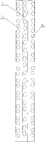 Coextrusion composite polypropylene soft pipe and production method