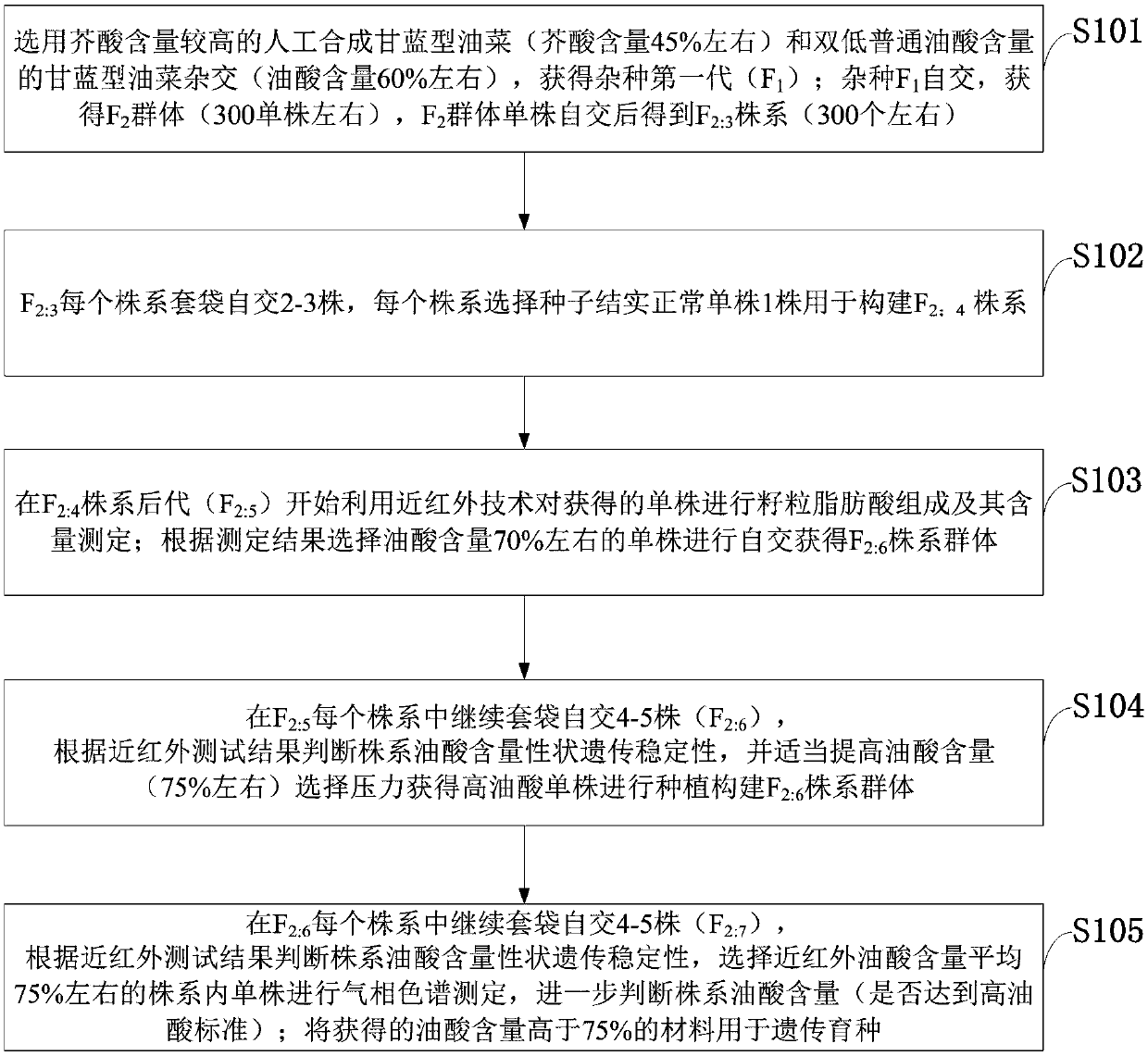 A method for preparing high oleic rape material by artificially synthesizing Brassica napus