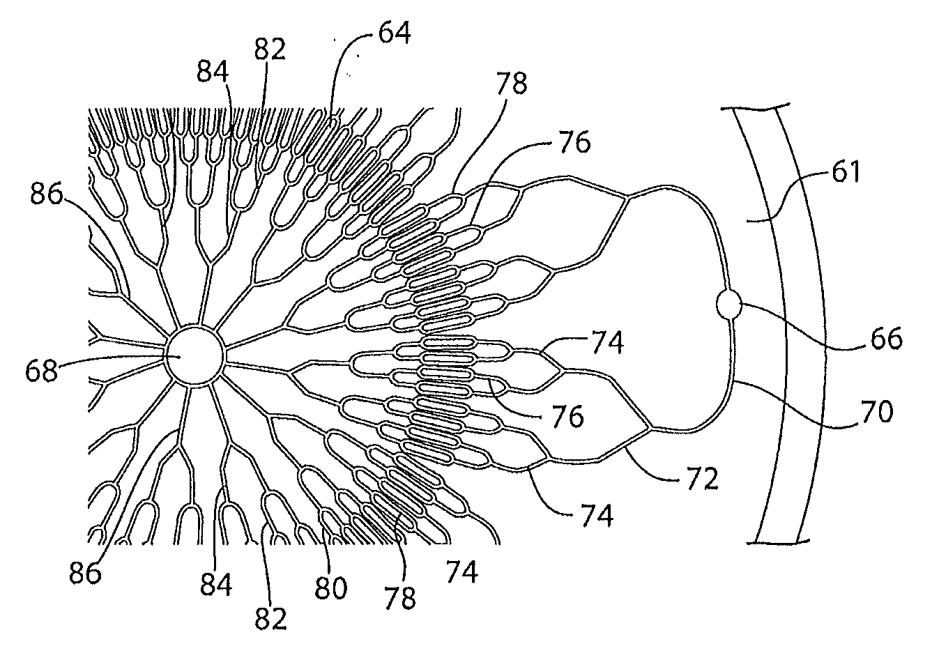 Biomimetic vascular network and devices using the same