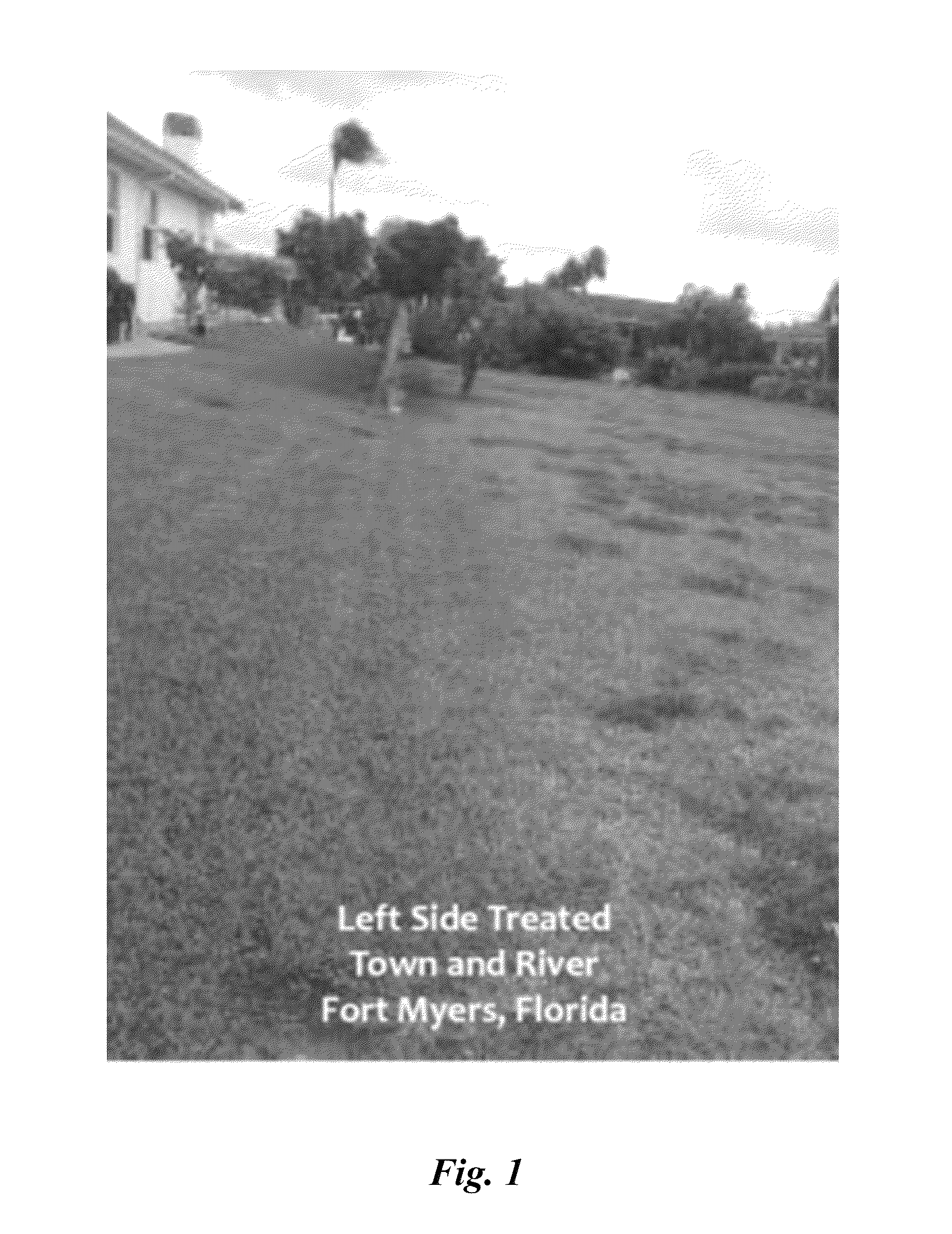 Dethatching, extended release fertilizer compositions