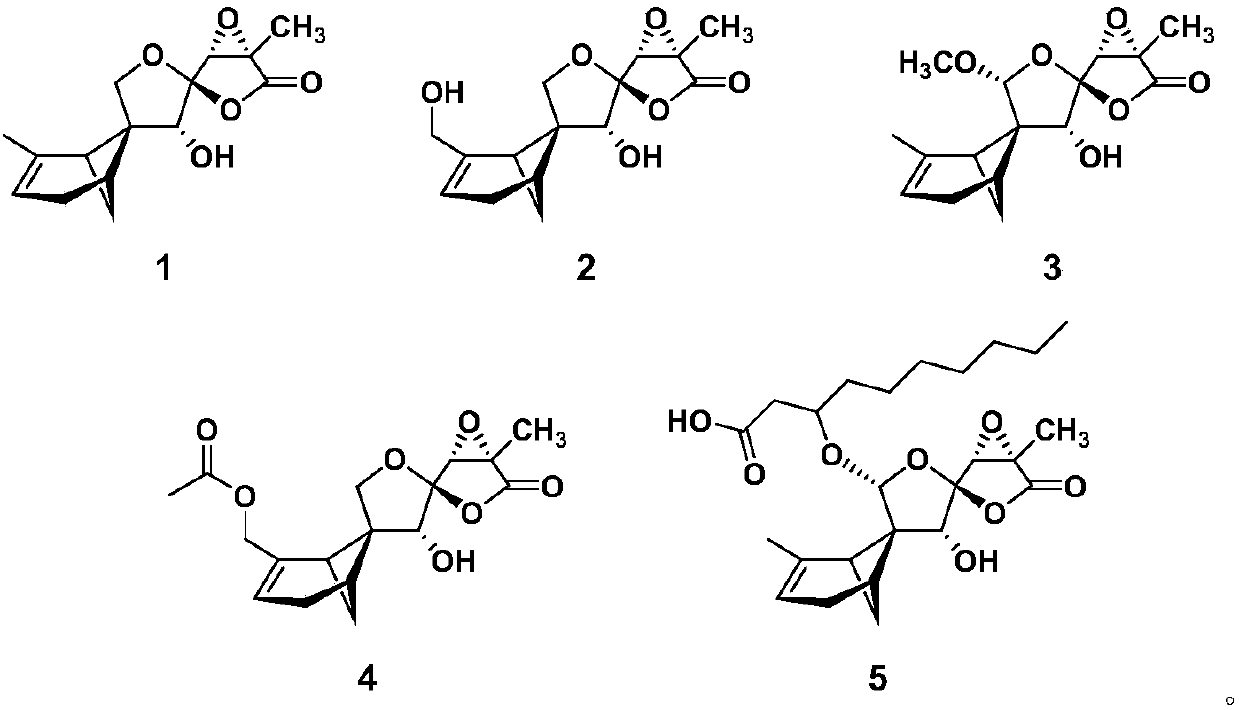 Sesquiterpenoid compound, fungus secondary metabolite extract containing sesquiterpenoid compound and application of sesquiterpenoid compound