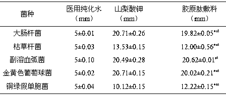 Collagen dressing for promoting wound healing and preparation method of collagen dressing