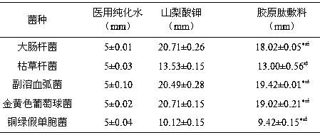 Collagen dressing for promoting wound healing and preparation method of collagen dressing
