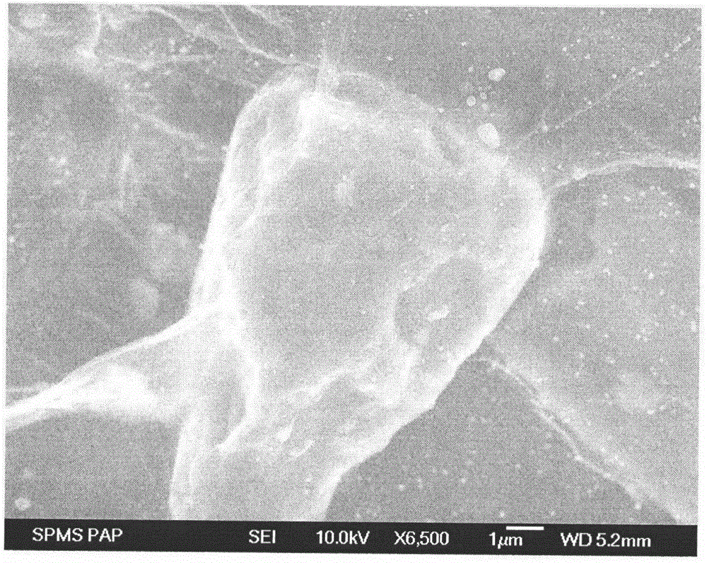 Preparation method of N-doped coated graphene micron silicon composite material