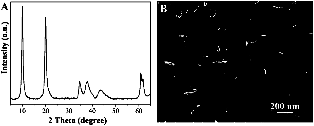 In-situ visualization method of dispersity of inorganic filler in plastic