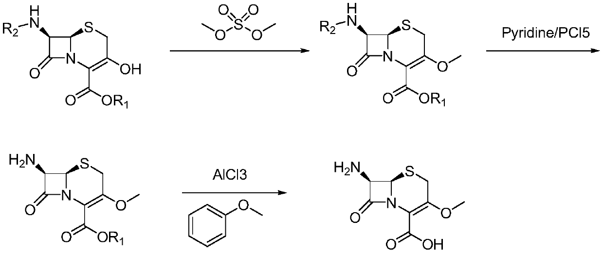 Novel method for preparing cefroxadine parent nucleus 7-AMOCA