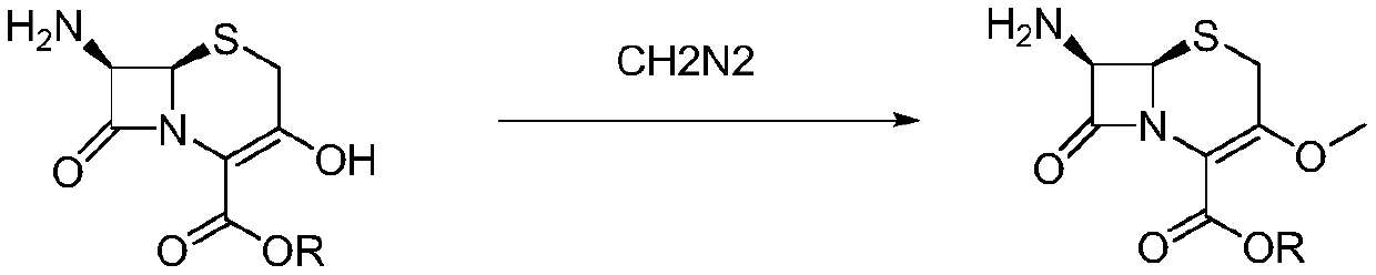 Novel method for preparing cefroxadine parent nucleus 7-AMOCA