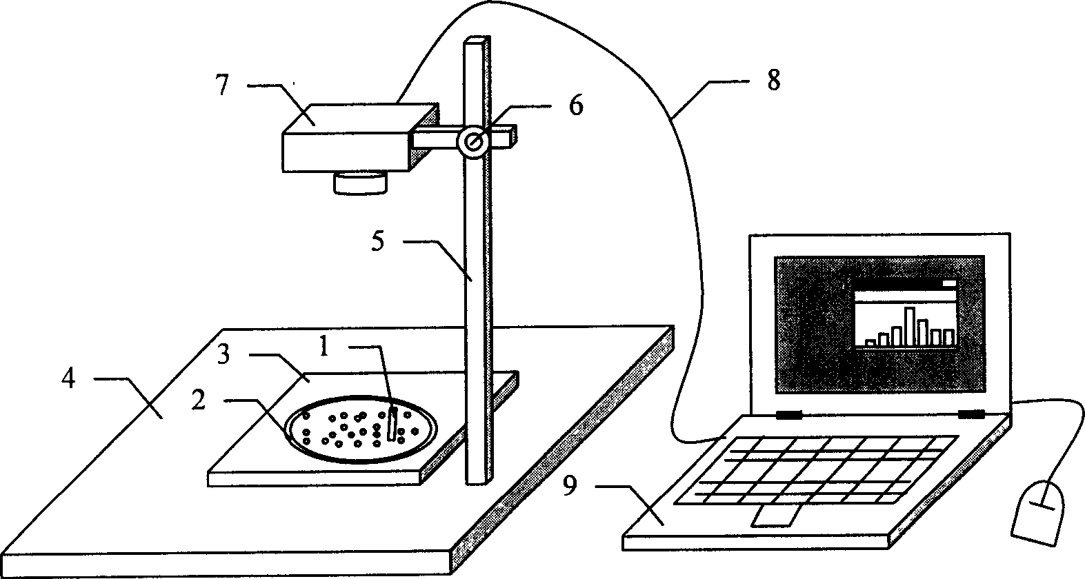 Method for measuring grain size distribution of granules