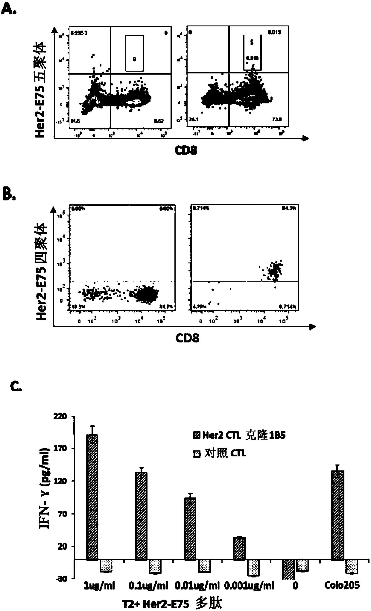 Separated T cell receptor, cells modified by separated T cell receptor, encoding nucleic acid, expression vector, preparation method, pharmaceutical composition and application