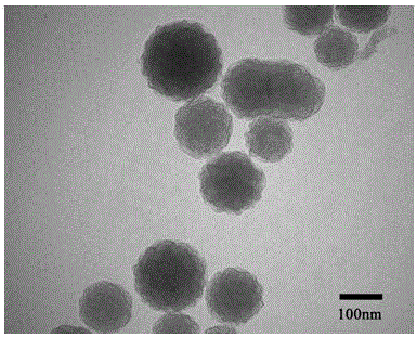 Gold/quaternary carbon dot core-shell nanocomposite and preparation method thereof