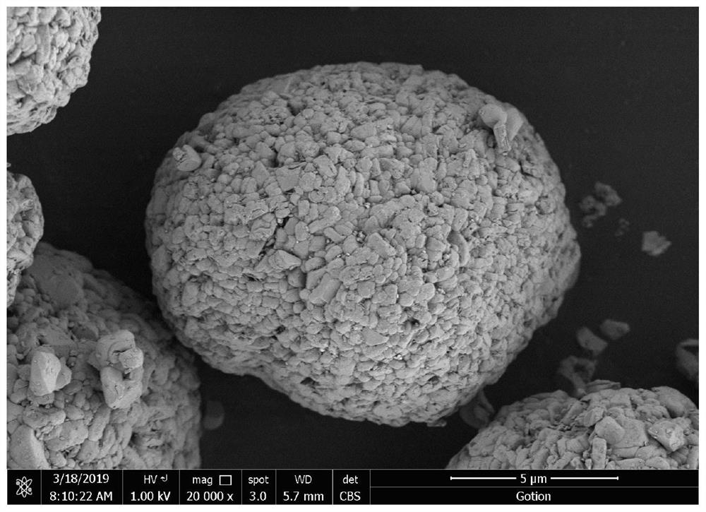 Preparation method of zirconium-doped cerium fluoride coated nickel-cobalt-manganese ternary positive electrode material and prepared positive electrode material