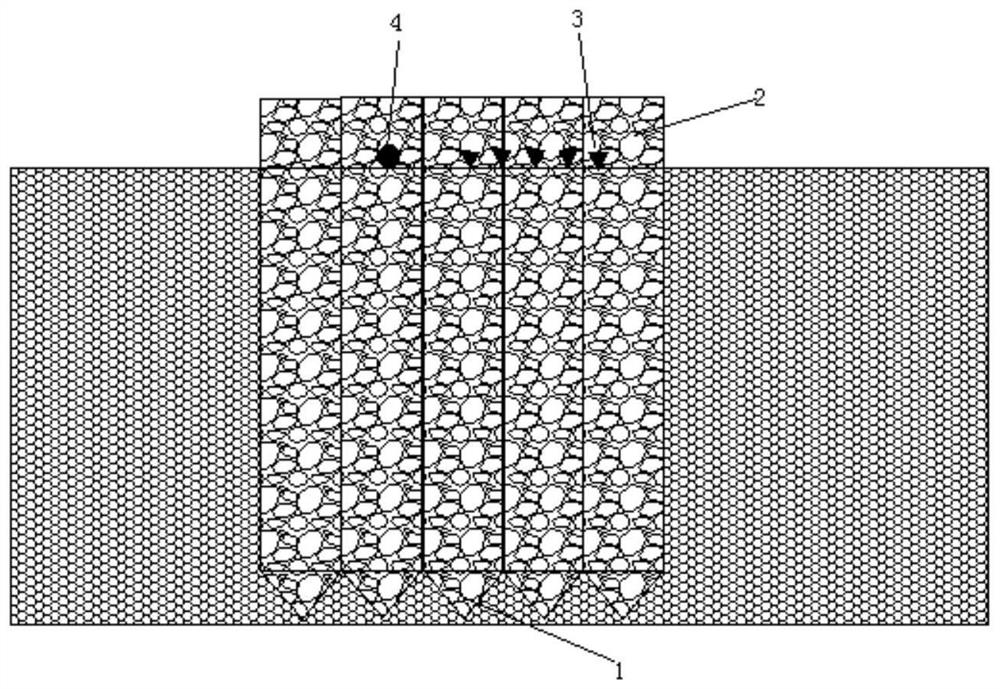 Method for preventing and treating tailing sand leakage in tailing pond dam body