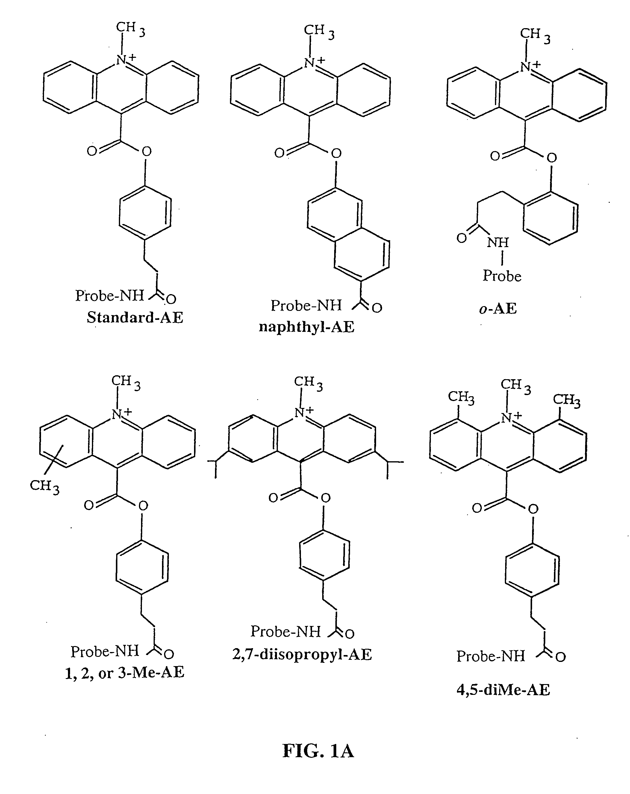 Kits containing modified amplification oligonucleotides