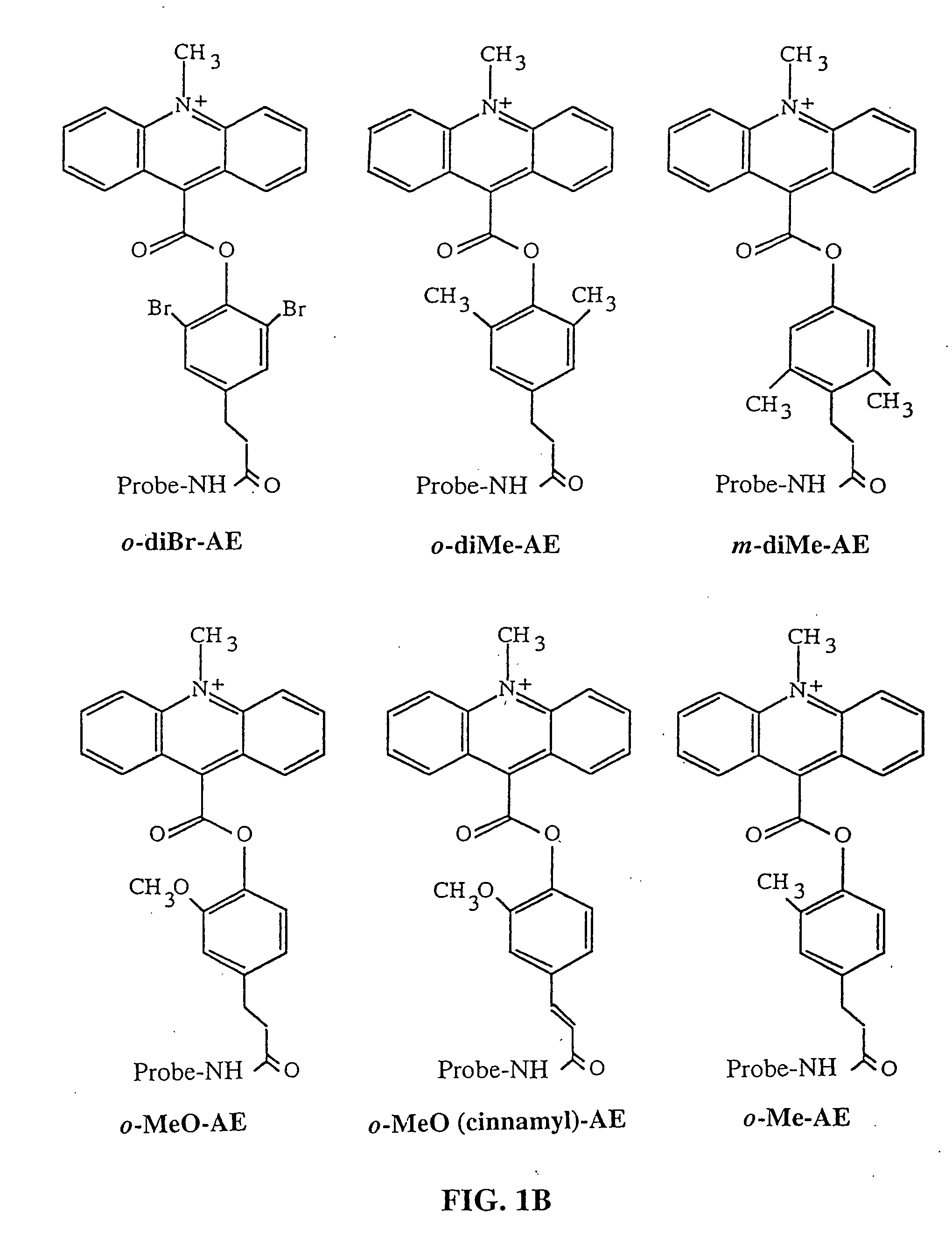 Kits containing modified amplification oligonucleotides