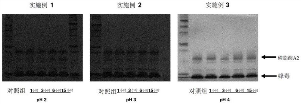 Bee venom-purifying method comprising viral clearance process and composition for preventing or treating inflammatory disease by using same