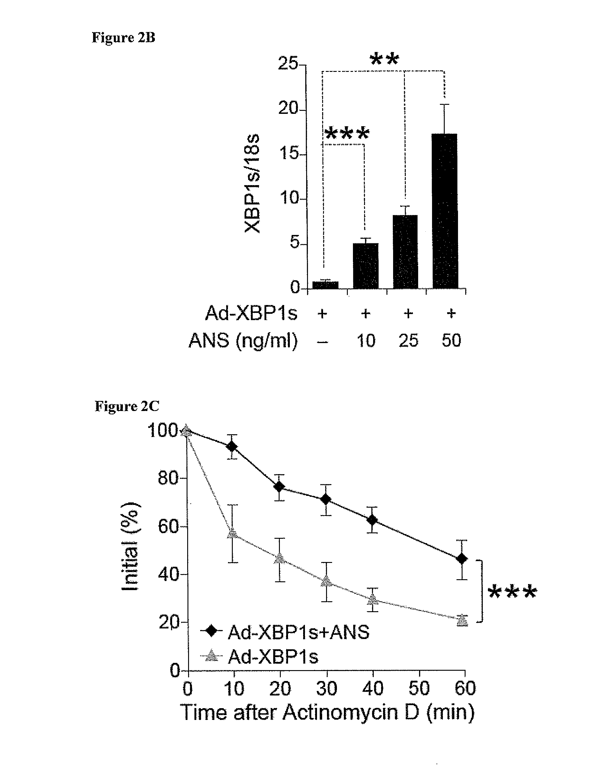 Methods and Compositions for Promoting Glucose Homeostasis