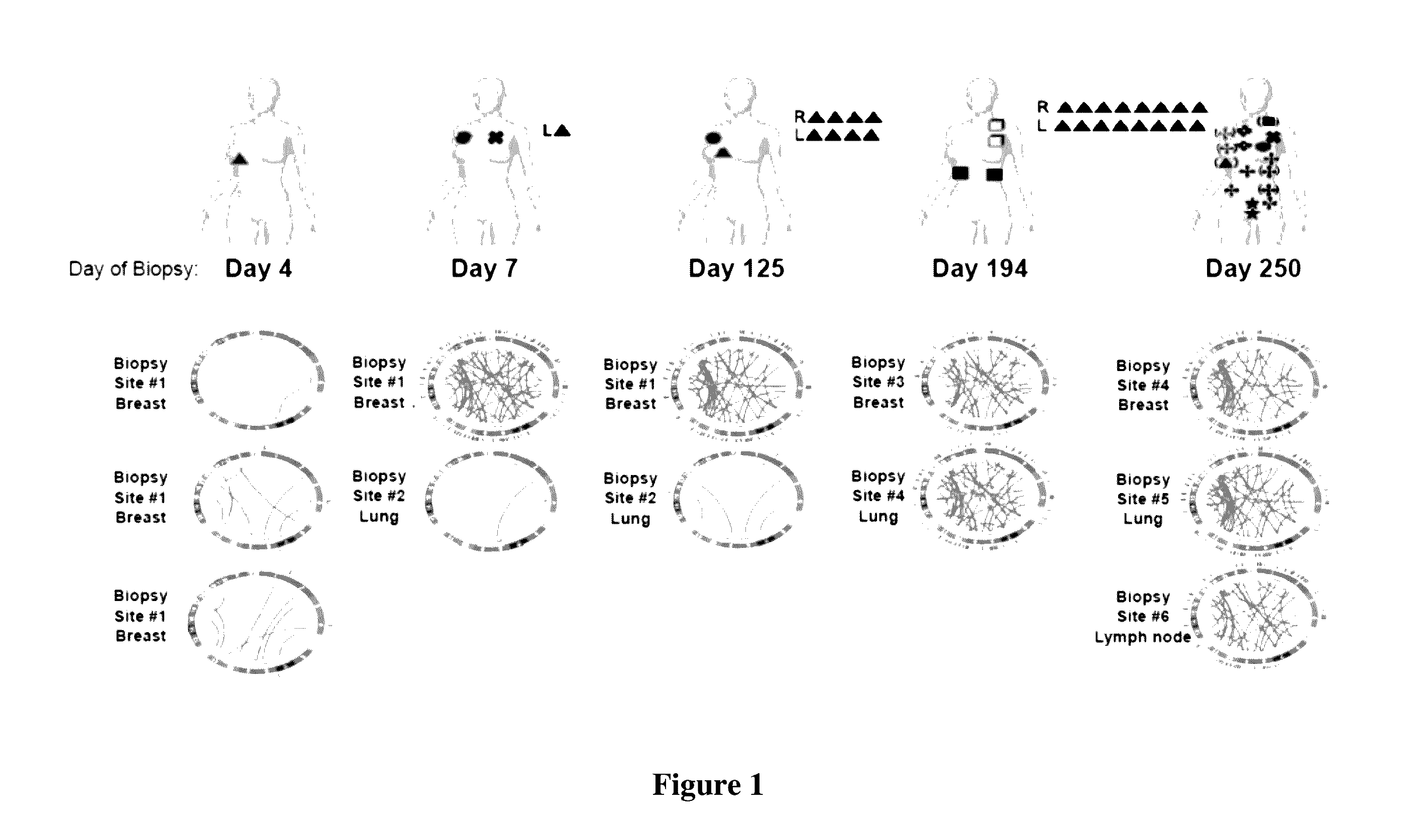 Iterative Discovery Of Neoepitopes And Adaptive Immunotherapy And Methods Therefor