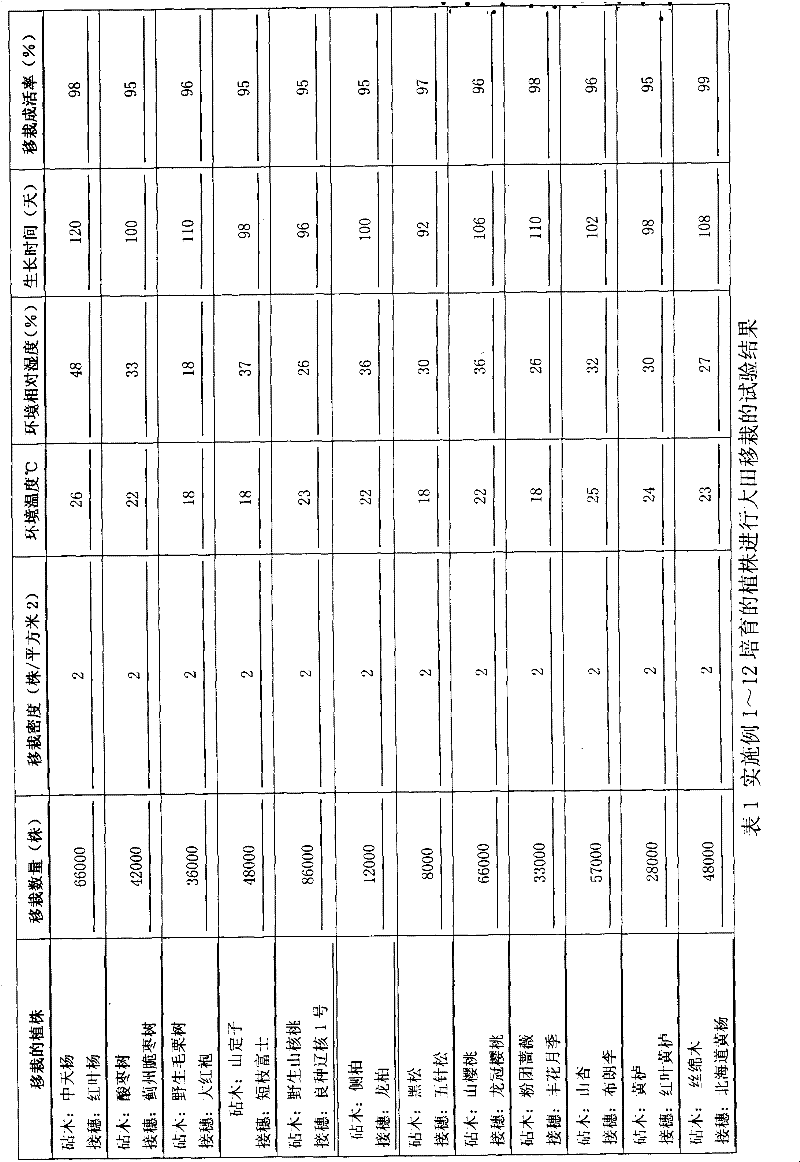 Micro-graft and fast propagation method of tree