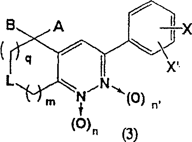 3-phenyl-cinnoline homologue and antitumor agent containing the same