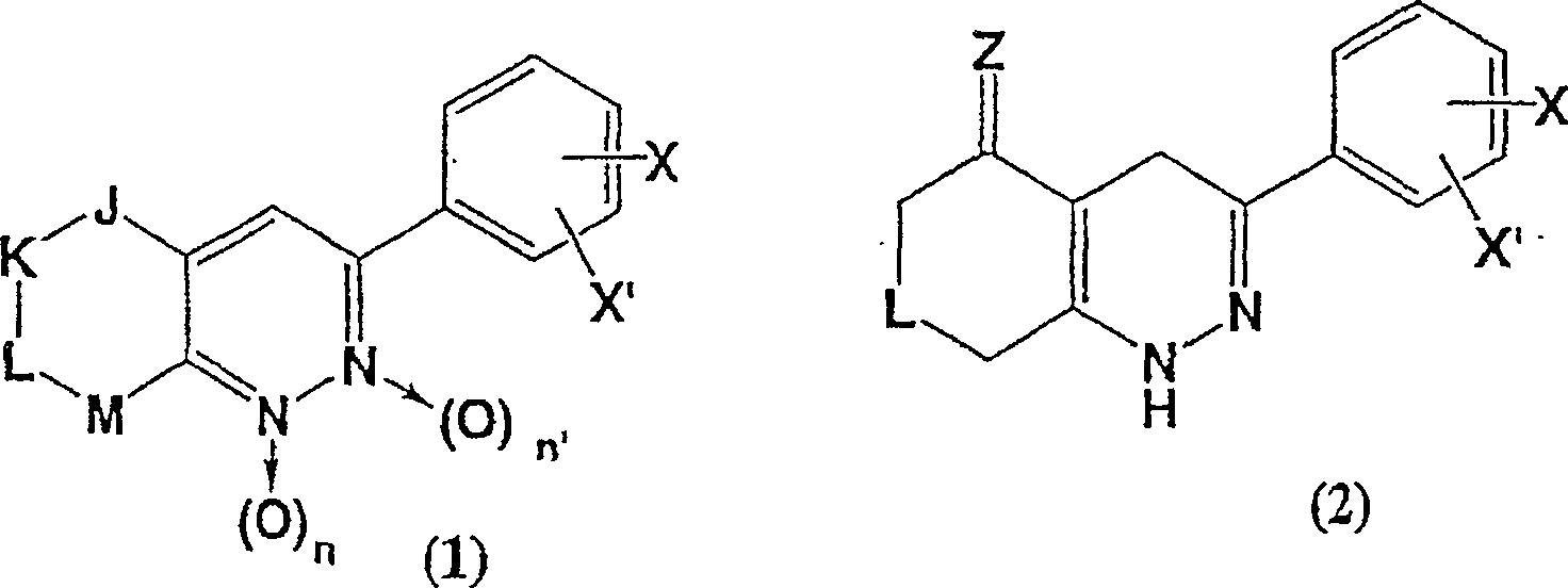 3-phenyl-cinnoline homologue and antitumor agent containing the same