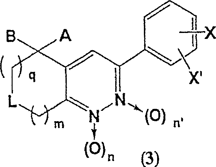 3-phenyl-cinnoline homologue and antitumor agent containing the same