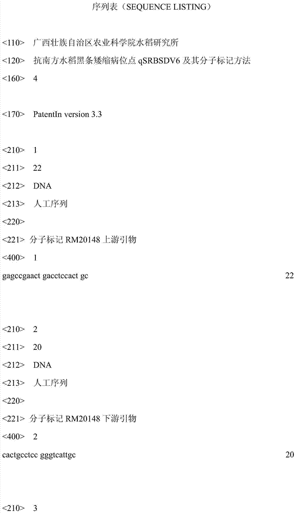 Resistance to southern rice black-streaked dwarf locus qsrbsdv6 and its molecular marker method