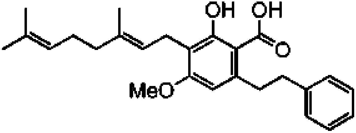 Method for preparing Amorfrutin A and Amorfrutin B from amorpha fruticosa fruits