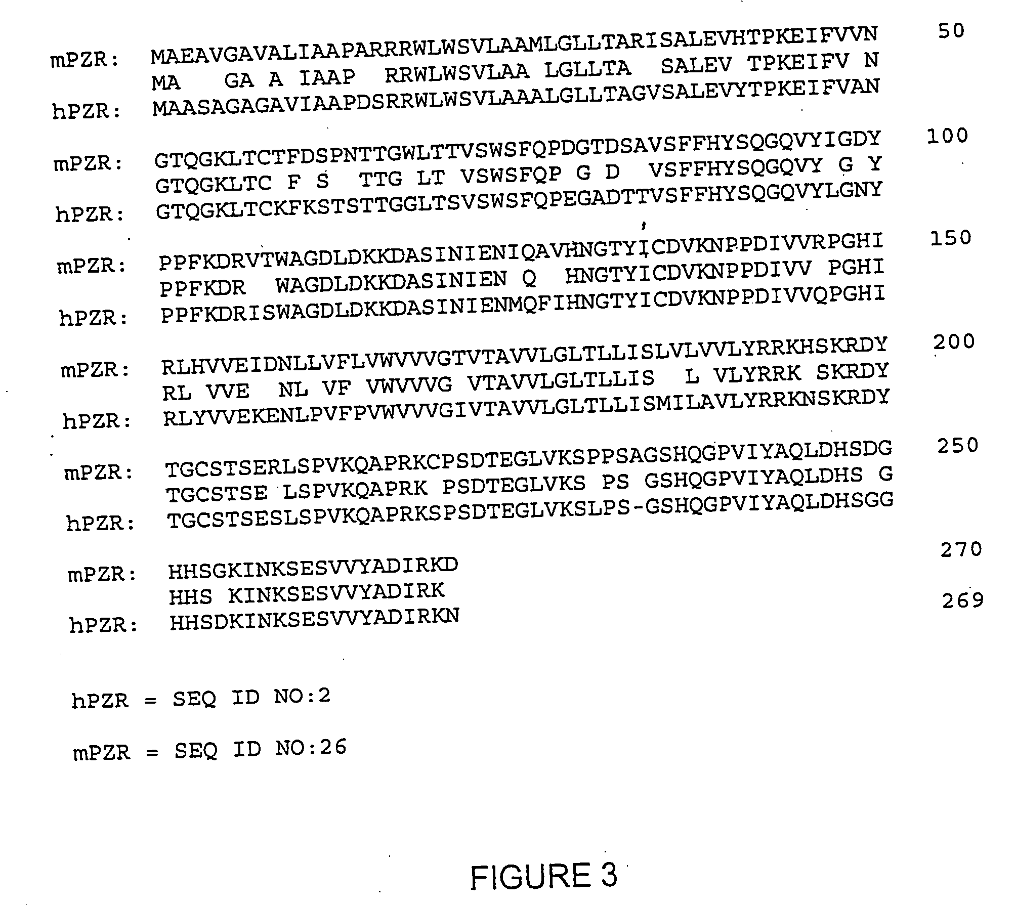 Purified and isolated protein zero related (PZR) and therapeutic and screening methods using same