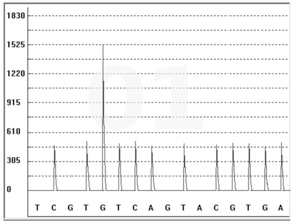 Detection kit of paclitaxel metabolism marker and detection method and application thereof