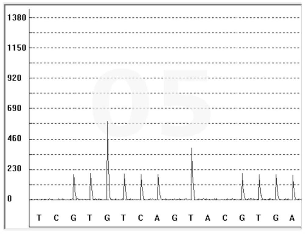 Detection kit of paclitaxel metabolism marker and detection method and application thereof