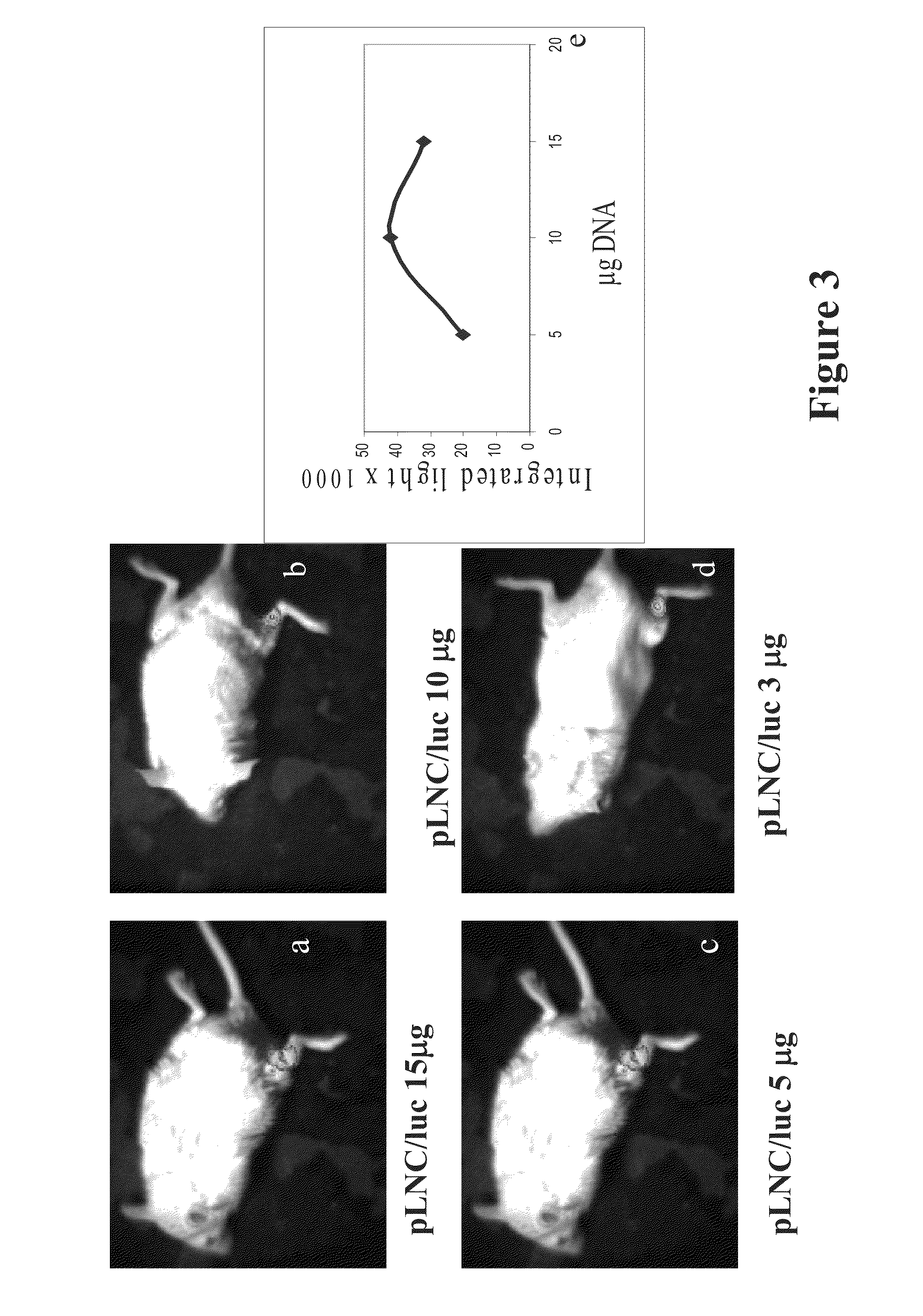 Controlled laser treatment for non-invasive tissue alteration, treatment and diagnostics with minimal collateral damage