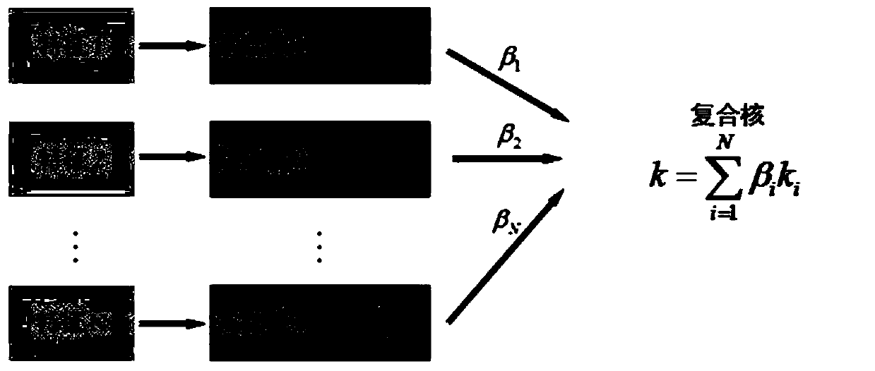 Hyperspectral image classification method based on adaptive kernel sparse representation and multiple features