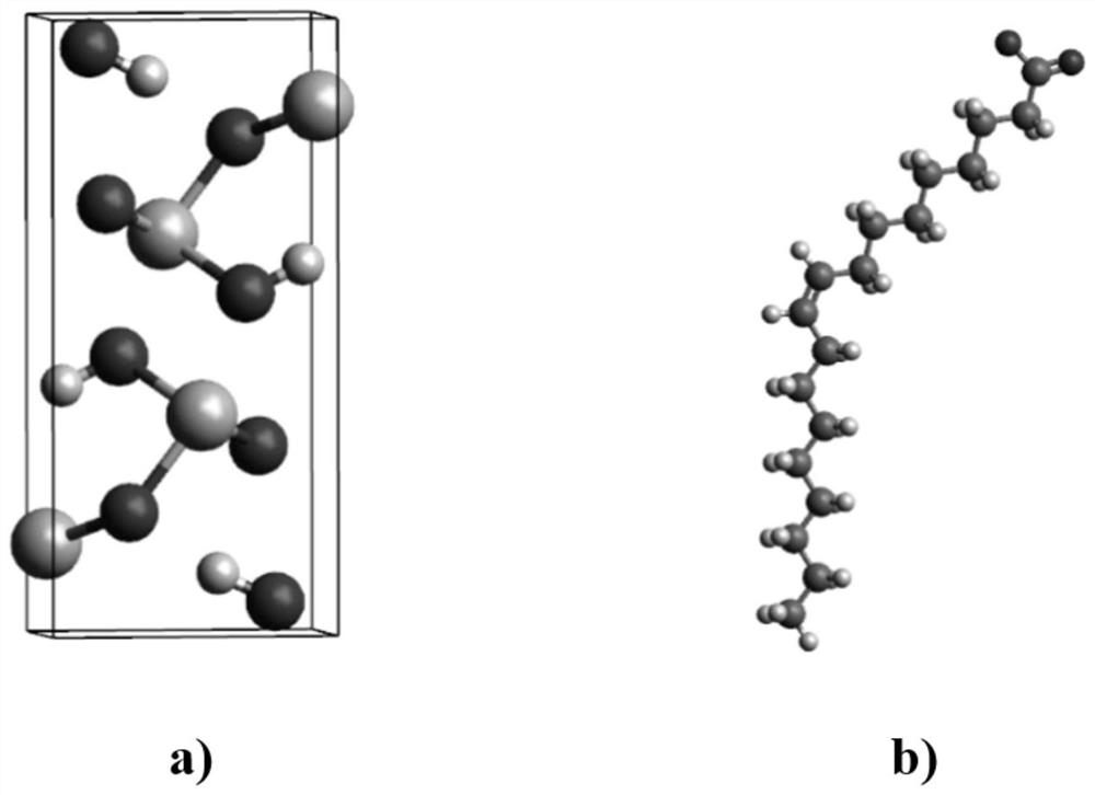 Method for simulating adsorption performance of sodium oleate on diaspore surface based on molecular dynamics